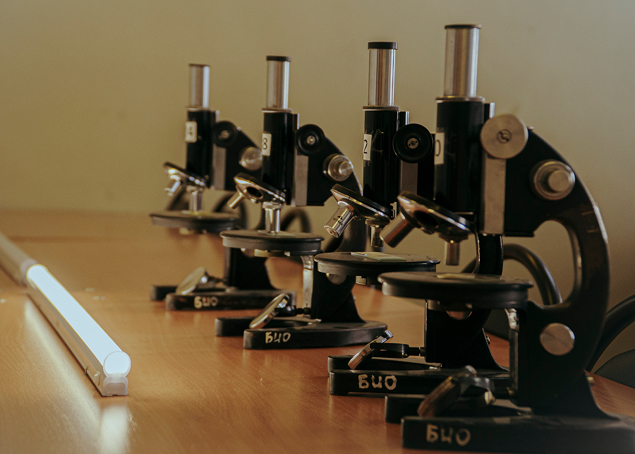 Научная деятельность